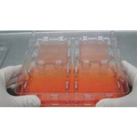 Skin Graft 細胞培養皿(專為皮膚和其他移植物生長而設計)