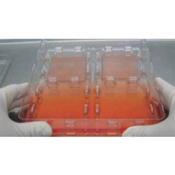 Skin Graft 細胞培養皿(專為皮膚和其他移植物生長而設計)