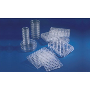 HydroCell 超低溫細胞結合表面