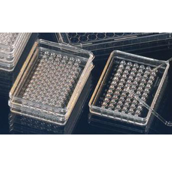 MiniTrays 培養盤 NunclonΔ