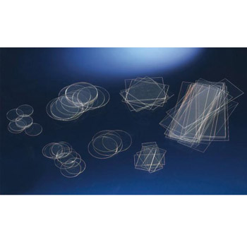 Thermanox 培養(yǎng)皿蓋玻片