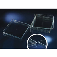 Bio-Assay 方形篩選培養皿