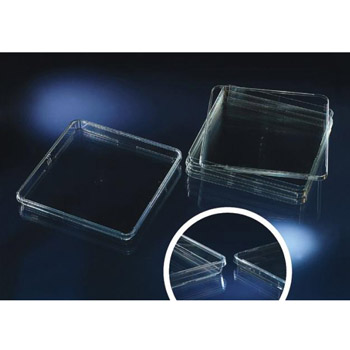 Bio-Assay 方形篩選培養(yǎng)皿