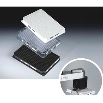 384孔標(biāo)準(zhǔn)高度淺孔板 PS