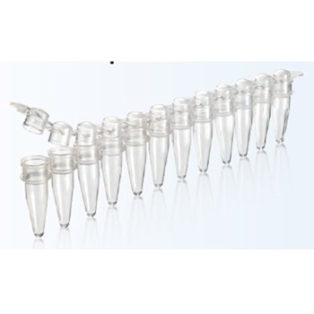 0.2ml 拱蓋薄壁12聯(lián)管 437442