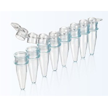 0.2ml 拱蓋薄壁8聯(lián)管 435440